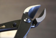 画像をギャラリービューアに読み込む, 越乃一刀 又枝切 (小)