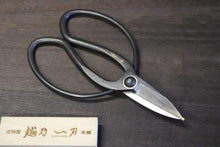 画像をギャラリービューアに読み込む, 越乃一刀 大久保