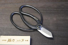 画像をギャラリービューアに読み込む, 越乃一刀 古流