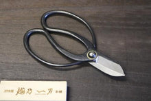 画像をギャラリービューアに読み込む, 越乃一刀 古流