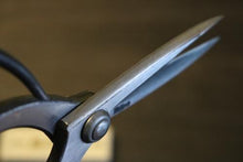 画像をギャラリービューアに読み込む, 越乃一刀 青紙鋼 手造り 長刃佐助型 3.3寸刃