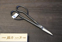 画像をギャラリービューアに読み込む, 越乃一刀 青紙鋼 ねじ止 さつき鋏