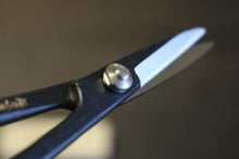 画像をギャラリービューアに読み込む, 越乃一刀 青紙鋼 ねじ止 さつき鋏