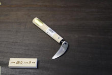 画像をギャラリービューアに読み込む, 越乃一刀 豆小鎌